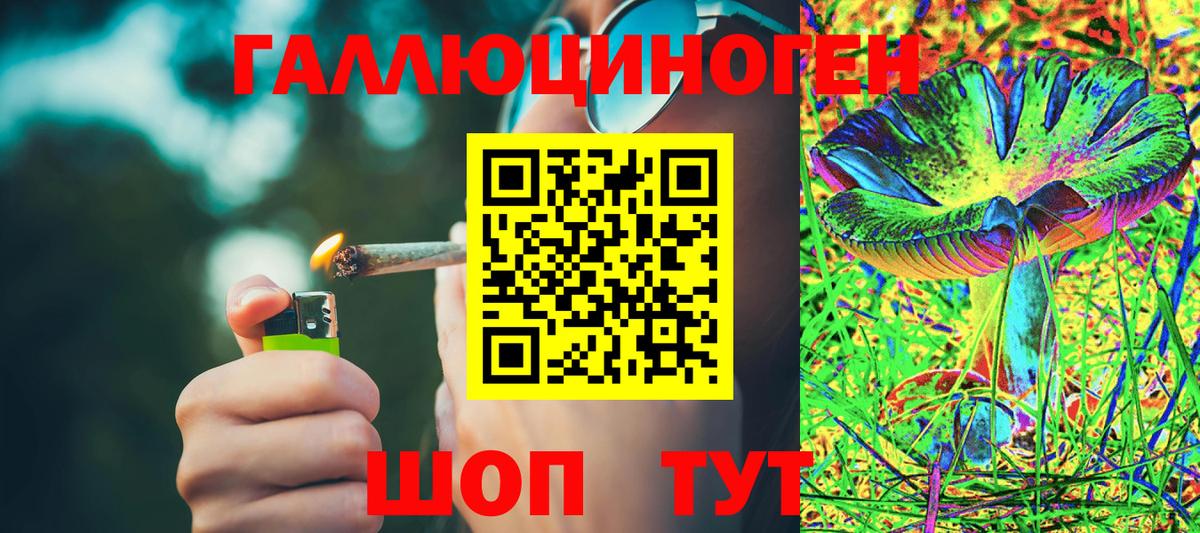 Псилоцибиновые грибы Magic Shrooms  Галлюциногенные грибы MAGIC MUSHROOMS  даркнет сайт  Ярославль  Вход с VPN 